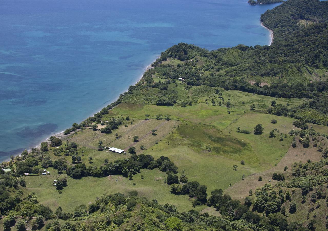 Hotel Punta De Aguila เนโคคลิ ภายนอก รูปภาพ